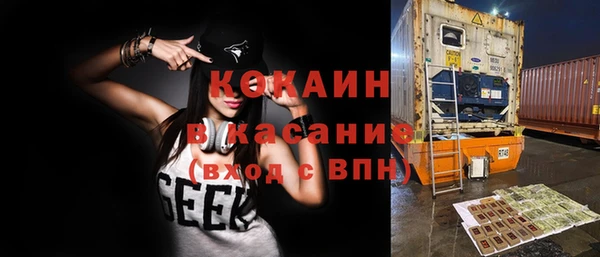 крисы Абаза