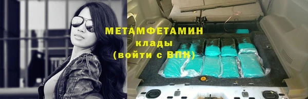 крисы Абаза