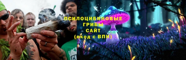 бошки Абдулино