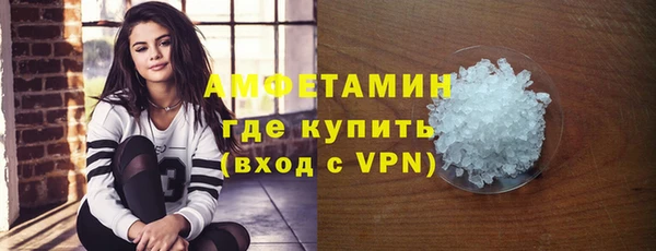крисы Абаза
