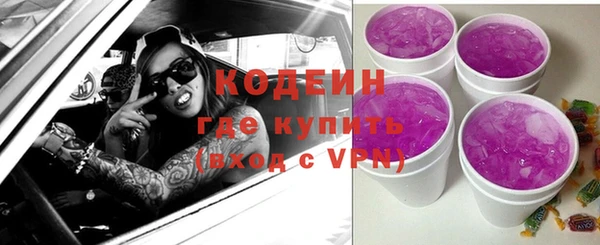 крисы Абаза